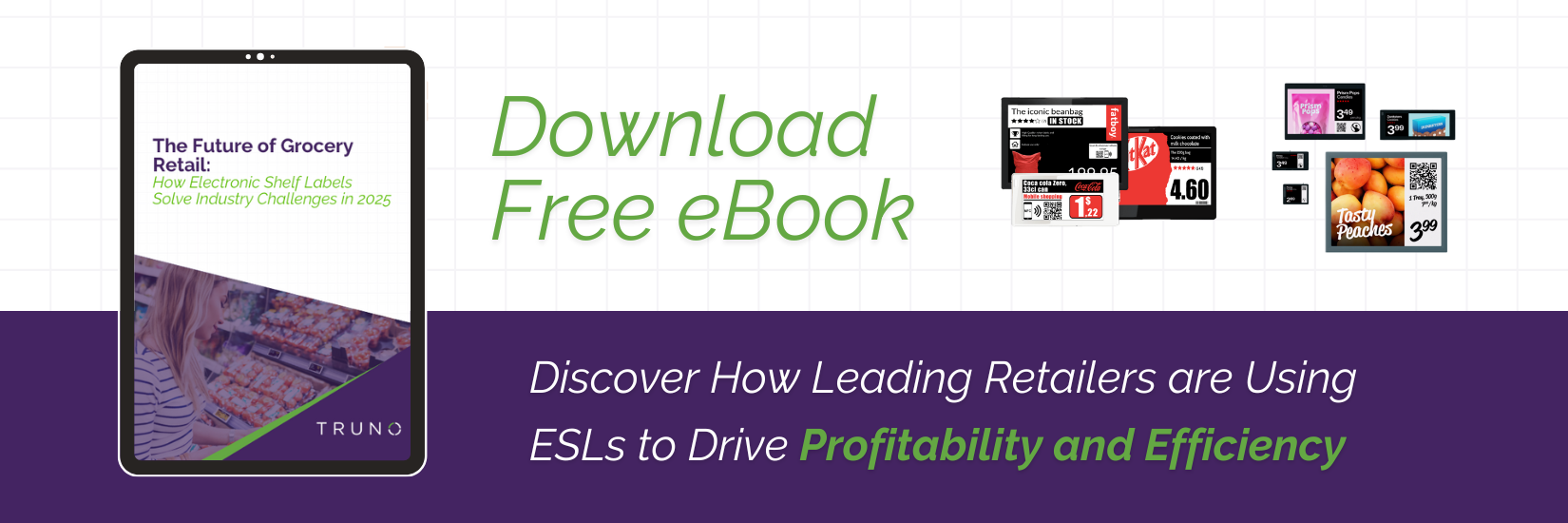 ESL eBook Banner