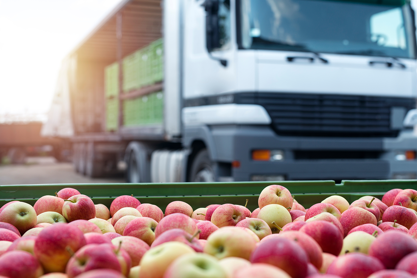 The Digital Transformation of The Grocery Retail Back-Office