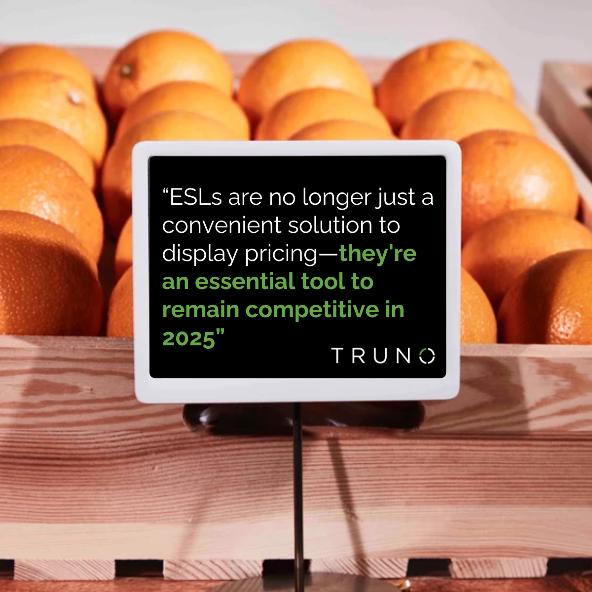 5 Key Reasons why ESLs are an Essential Investment in 2025